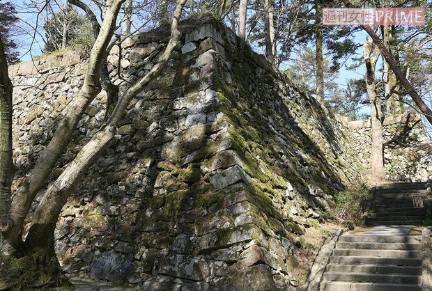 光秀が本能寺へと挙兵した城址。何が彼を“裏切り者”にしたのか……