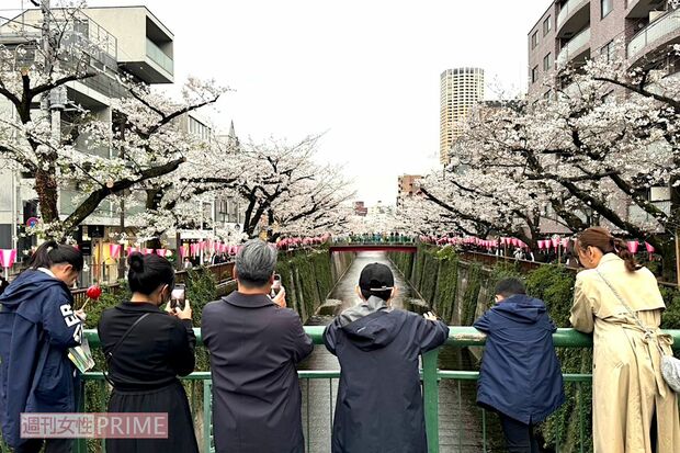 写真提供／加藤綾菜