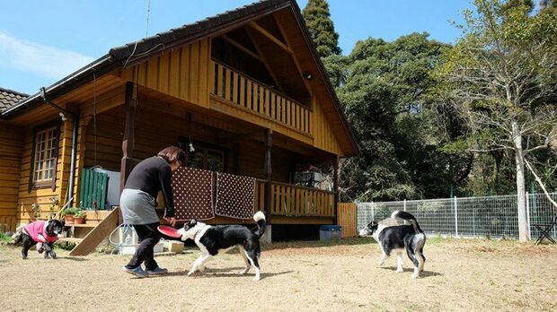 “老犬ケア”に掲載の施設を紹介。千葉県にある『ながらELLE』は、8頭までの少数飼育でケージレスでの飼育にも対応