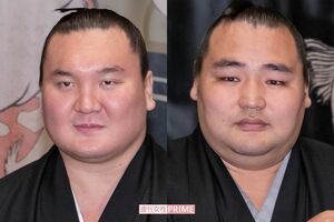 横綱審議委員会から厳しく注意された、白鵬と鶴竜