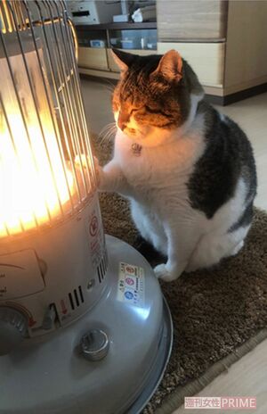 ストーブで暖まるぶさお