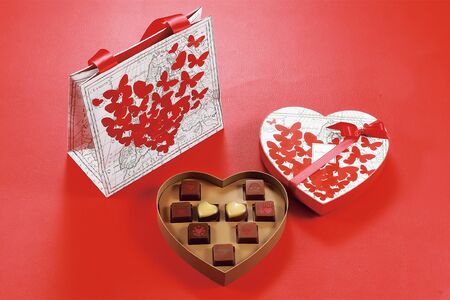 ボンボンショコラ9個レフェパピヨン／JEAN-PAULHEVIN（ジャン＝ポール・エヴァン）