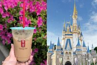 ディズニーランドへの「ゴンチャ持ち込み投稿」が“マナー違反では?”と波紋…規約の“死角”に広報部の回…