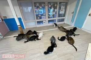 記者が訪れた「花の木シェルター」は清潔に保たれていた