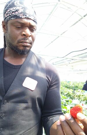 ベルナール・アッカ