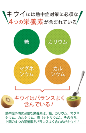 キウイには4つの栄養素が！