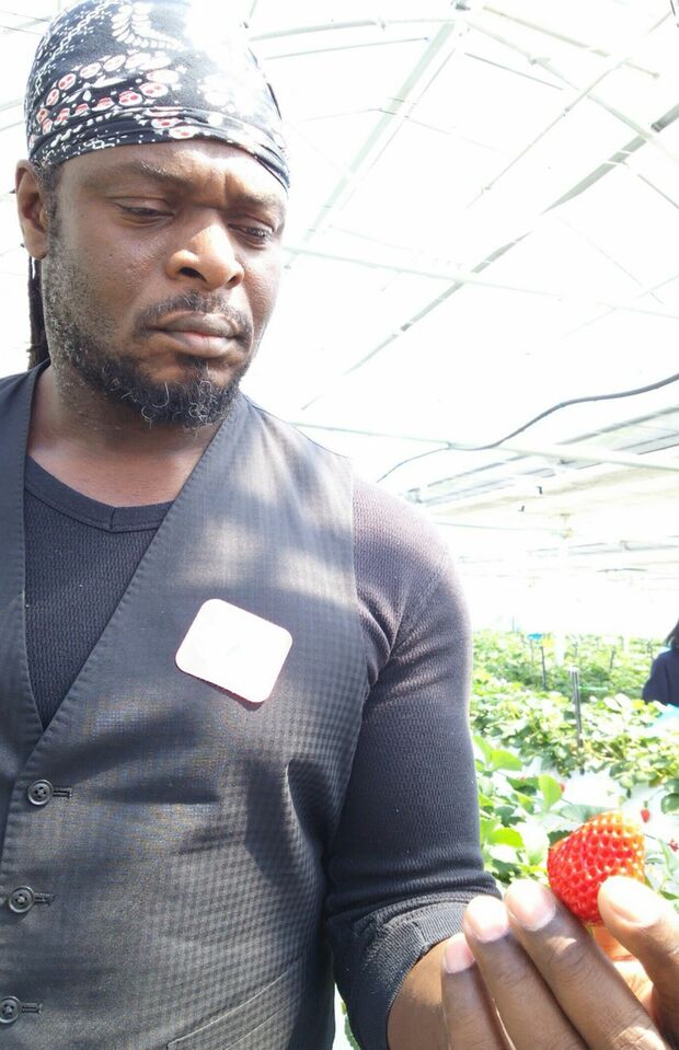 ベルナール・アッカ