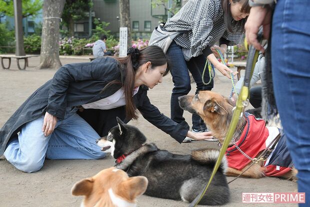 家庭犬のしつけ教室。「伏せ」の状態で数分間待たせる訓練をする松尾さん。現在、神奈川と東京、長崎で教室を開く　撮影／渡邉智裕