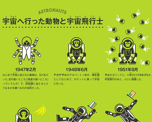 宇宙飛行士の動物: 宇宙に送られた動物はどれですか?