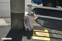 《東京・ひき逃げ容疑で逮捕》住山禎宏容疑者が運転する自動車が牛草典子さん(84)をひいて、2キロ引きず…