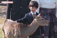 【中学ご卒業】悠仁さま「葉山でよちよち歩き」「凛々しい袴姿」「薪割りショット」秘蔵写真で振り返る!