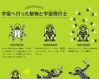 人でも猿でも犬でもない!世界最初の宇宙飛行士はブンブンうるさいアイツら!