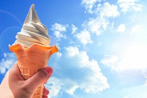 ※画像はイメージです