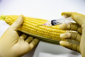 ※写真はイメージです