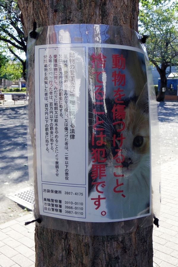  10月1日、両脚ぐるぐる巻きの猫がいた豊島区の公園には『動物を傷つけること、捨てることは犯罪です』と書いた警告が
