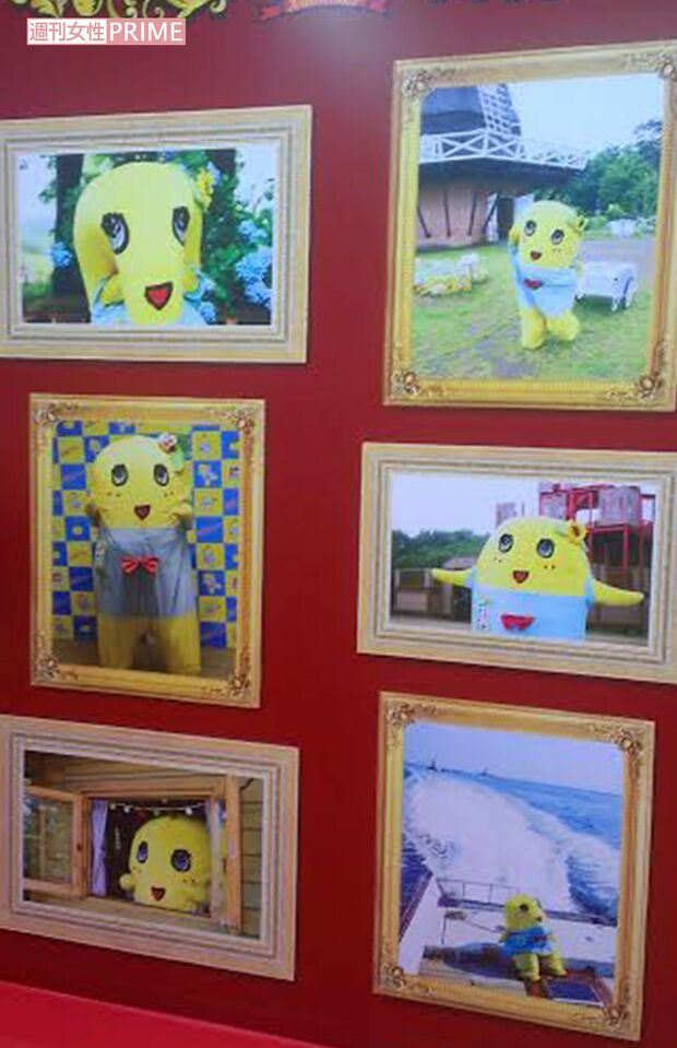 なぜか、近所の公園で撮られた写真が展示してある