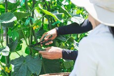 【シニア就職最前線】「お金のためより、オモシロイから働く」60歳以上の応募は5倍！　働き直しが当たり前に　