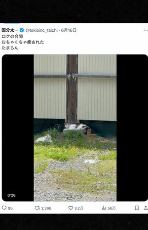 6月16日の投稿ではロケの合間に見た猫の動画をアップしていた（国分太一公式Xより）