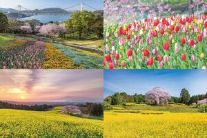 色づき始めの花々香る春をめでる癒し旅へ