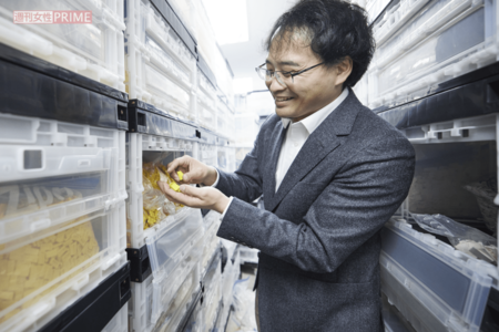 三井さんのオフィスには数えきれないほどのレゴブロックが