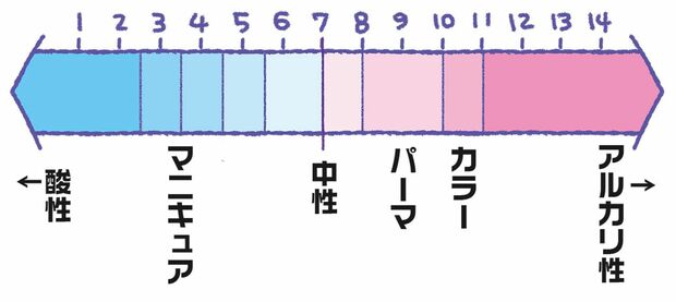 カラーを行う場合、キューティクルを開き、髪の毛に色素を入れ込む。パーマの場合は髪の毛のタンパク質を分解し、形を変えて結びつけ直す。