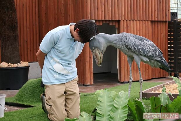 愛情表現であるおじぎを深々とするふたば