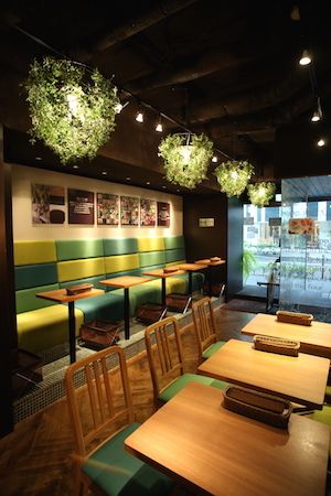 【写真】『KO-SO CAFE　BIORISE』の店内。「カラダの中からキレイに」がコンセプト。ランチの時間は女性客でいっぱいだそう