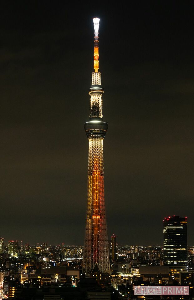 新デザイン『幟』