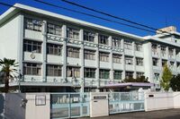 <女子高生・黒染め強要訴訟>学校は地毛が茶色いだけでなぜ生徒を “排除” したのか