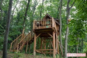 子どものころからの夢だったというツリーハウス。材料には敷地内から切り出した杉と故郷の秋田杉の両方を使った　撮影／伊藤和幸