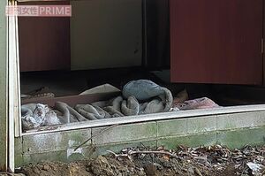 廃屋の奥には古い毛布のようなものが見えた。これで寒さをしのいでいたのか