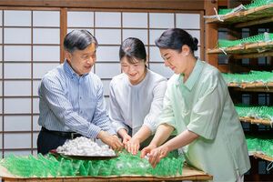 ご結婚30周年となる6月9日に公開された天皇ご一家の“団らん”写真