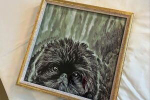 梅宮アンナの愛犬の絵