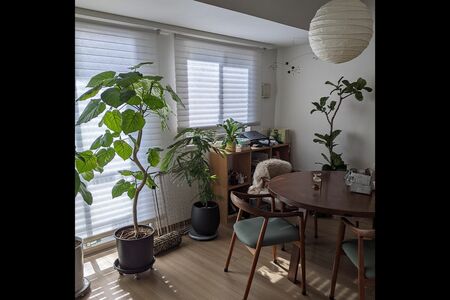 無駄なものは処分して、本当に大切な少しのものとの暮らし
