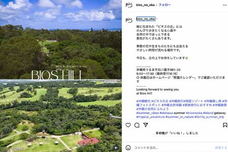 ジャングルを堪能できるうるま市のビオスの丘(公式Instagramより)