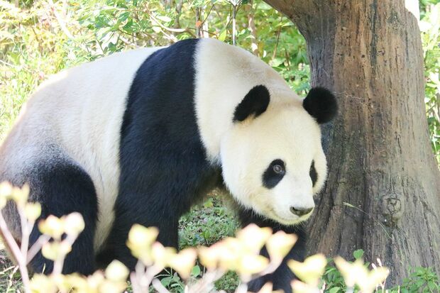 力力　リーリー（撮影／二木繁美）