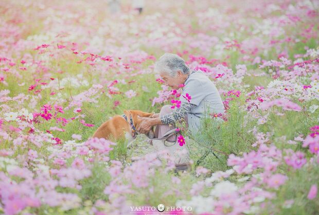 撮影は、何よりもおばあちゃんの身体を優先して行われる　提供：YASUTO