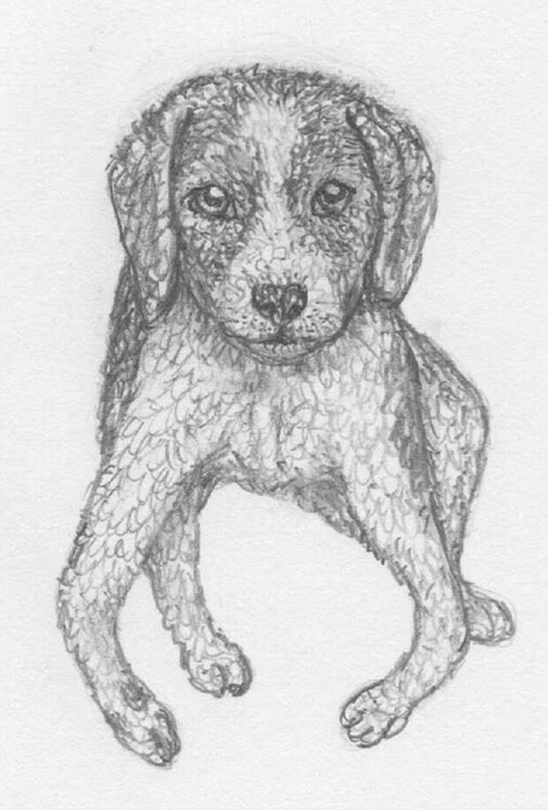 （イラスト：秦直也／東洋経済オンライン）