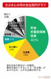 さぶさんの月の支出別円グラフ