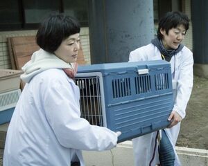  ［写真］動物愛護センターに何度も足を運ぶ「ちばわん」。2015年までに5000頭の犬・猫を救ってきた。