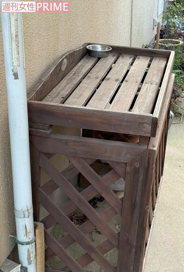 《茨城・阿見町》なぜか外で飼うネコの小屋があった容疑者宅の庭先