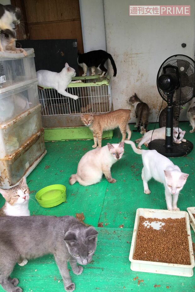 引っ越して2か月くらいの足利市の自宅（関係者提供）