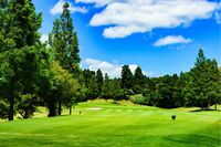 相葉雅紀、“富裕層向け”のゴルフ場で見せた紳士なプレーが「かなりの腕前」