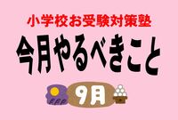 <小学校受験のお作法・9月>願書投函の時間帯攻防戦、ベストタイミングはいつ?