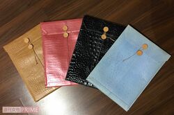 お気に入りの、A4サイズが入る書類入れ