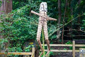 写真はイメージです