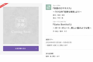 作・演出には確かに藤井大介氏の名前が（宝塚歌劇団公式HPより）