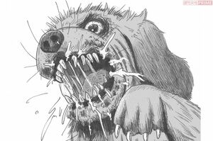 狂犬病 イラスト/黒木督之