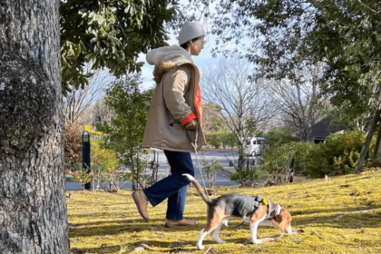 寒い日もしっかり着込んで、ビーグル犬のジンジャーと散歩。枯れ葉を踏む音も聞こえるようになった