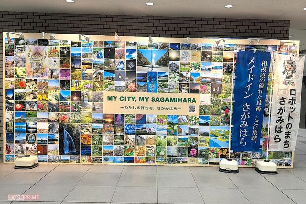 相模原市役所内に設置された看板　撮影／編集部
